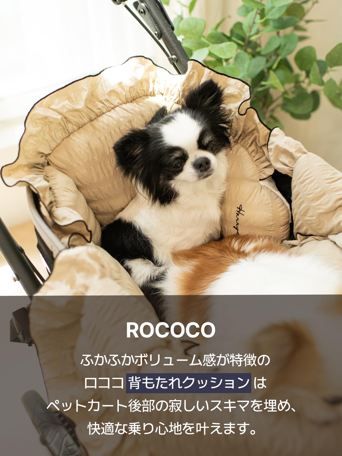 Amazon | ペットカートクッション ロココ New Margaret HARRYSPET